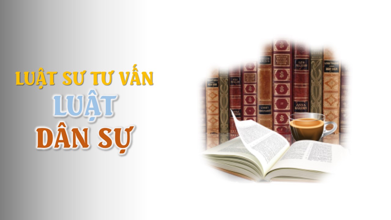 Tư Vấn Luật Trong Giai Đoạn Thi Hành Án Dân Sự