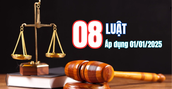 08 Luật mới có hiệu lực áp dụng từ ngày 01/01/2025